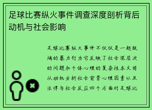 足球比赛纵火事件调查深度剖析背后动机与社会影响