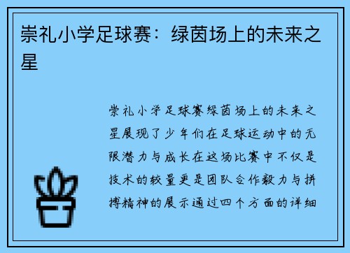 崇礼小学足球赛：绿茵场上的未来之星