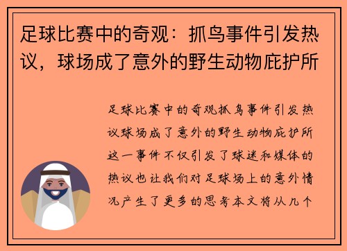 足球比赛中的奇观：抓鸟事件引发热议，球场成了意外的野生动物庇护所