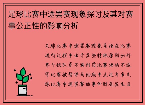 足球比赛中途罢赛现象探讨及其对赛事公正性的影响分析