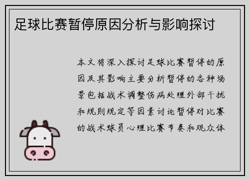 足球比赛暂停原因分析与影响探讨