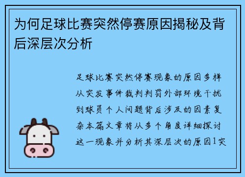 为何足球比赛突然停赛原因揭秘及背后深层次分析