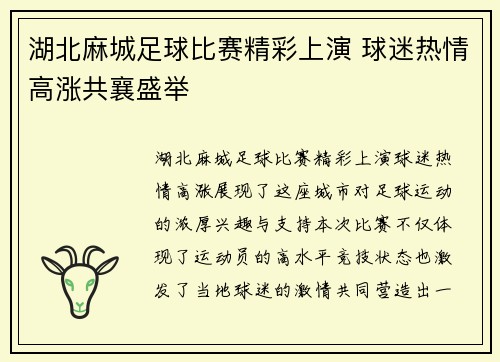 湖北麻城足球比赛精彩上演 球迷热情高涨共襄盛举