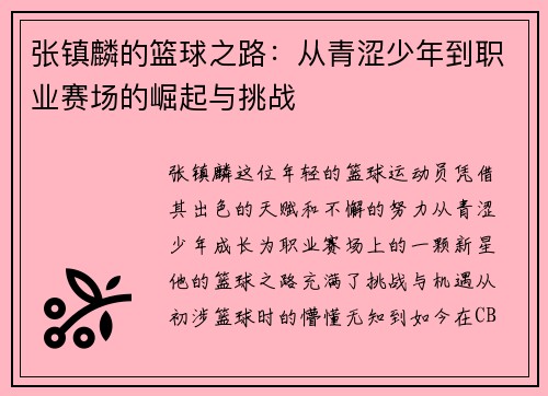张镇麟的篮球之路：从青涩少年到职业赛场的崛起与挑战